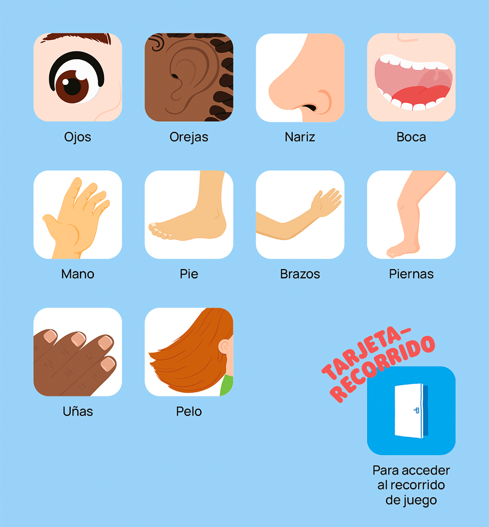 Primeros descubrimientos: el cuerpo